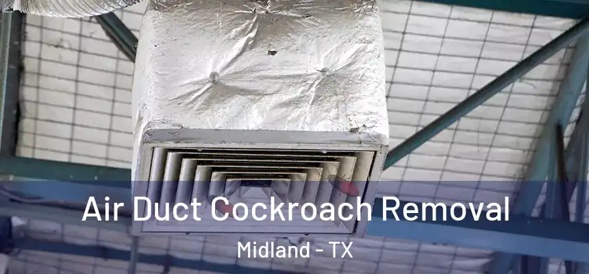 Air Duct Cockroach Removal Midland - TX