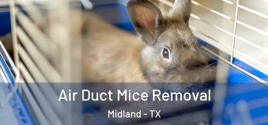 Air Duct Mice Removal Midland - TX