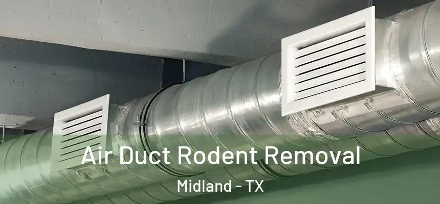 Air Duct Rodent Removal Midland - TX