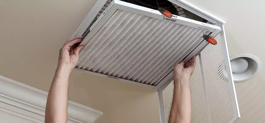 Our Insect Removal from Air Ducts Services in Midland, TX
