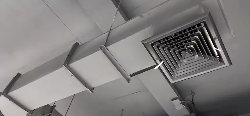 Our Pest Removal From Ducts Services in Midland, TX