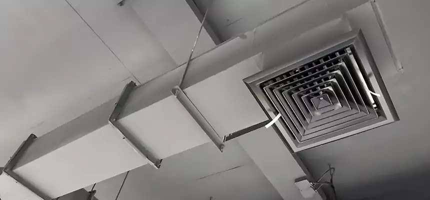 Our Rodent Droppings In Vents Services in Midland, TX