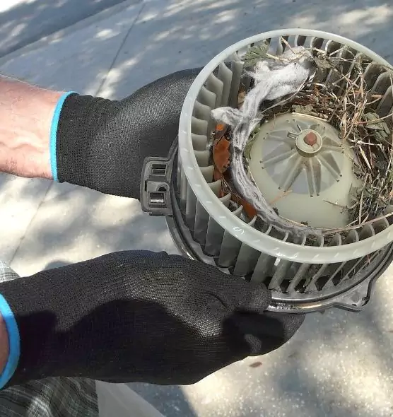 About Air Duct Rat Removal in Midland, TX