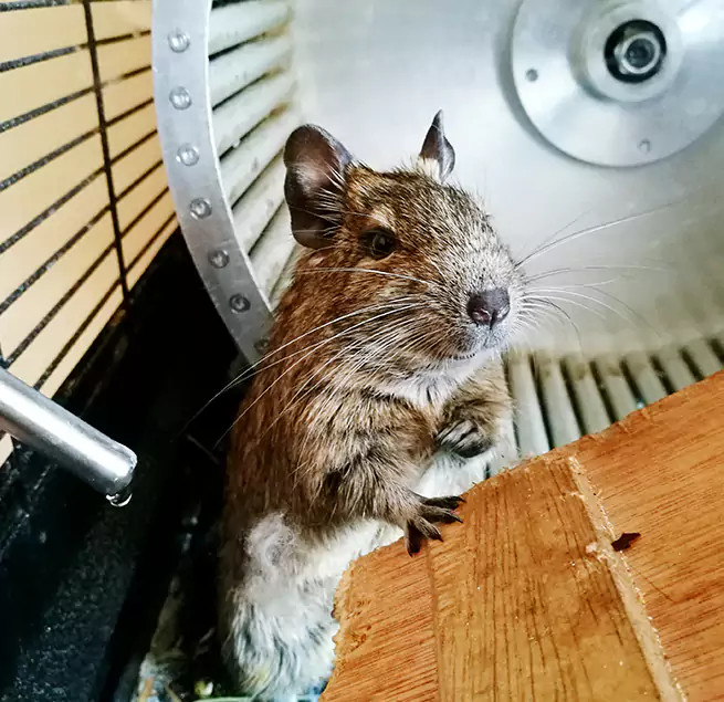 Why Homeowners & Businesses Trust Us Midland, TX?