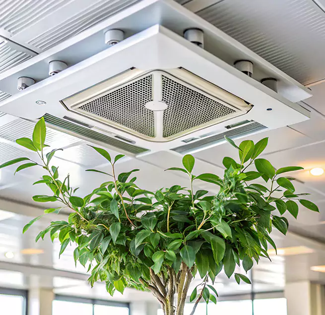 Why Homeowners & Businesses Trust Us in Midland, TX?